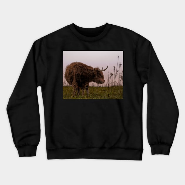 Scottish Highlander Crewneck Sweatshirt by hton